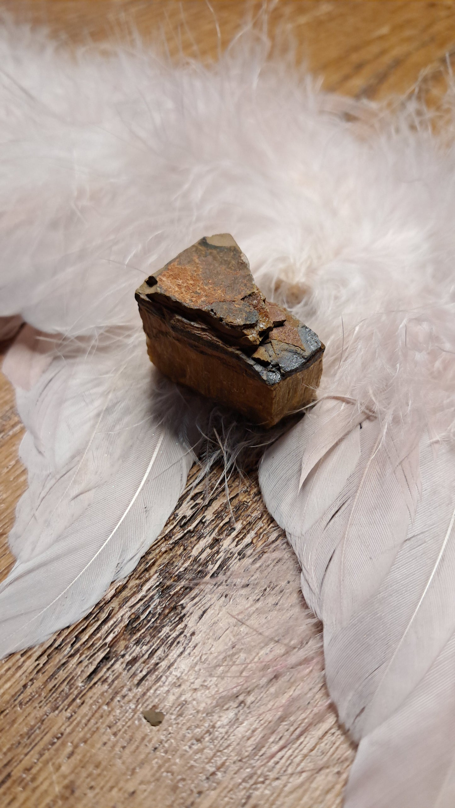 Tijgeroog – Moed, Bescherming & Innerlijke Kracht