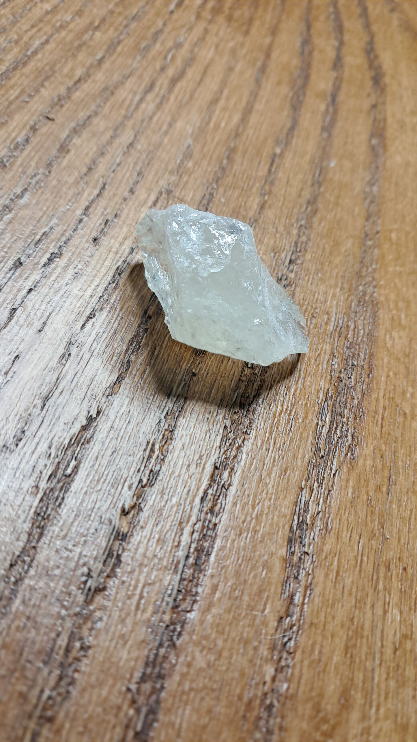 CITRIEN — Manifestatie & Actie