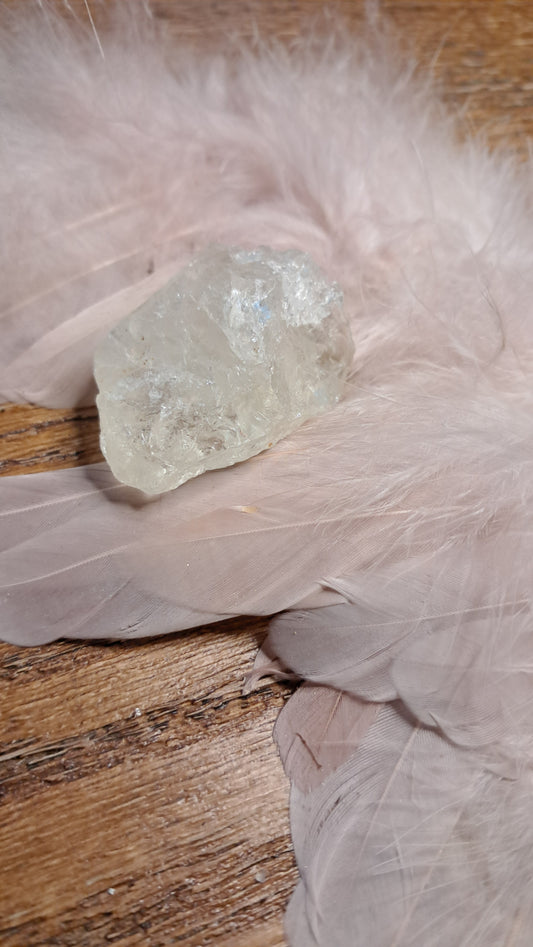 CITRIEN — Manifestatie & Actie