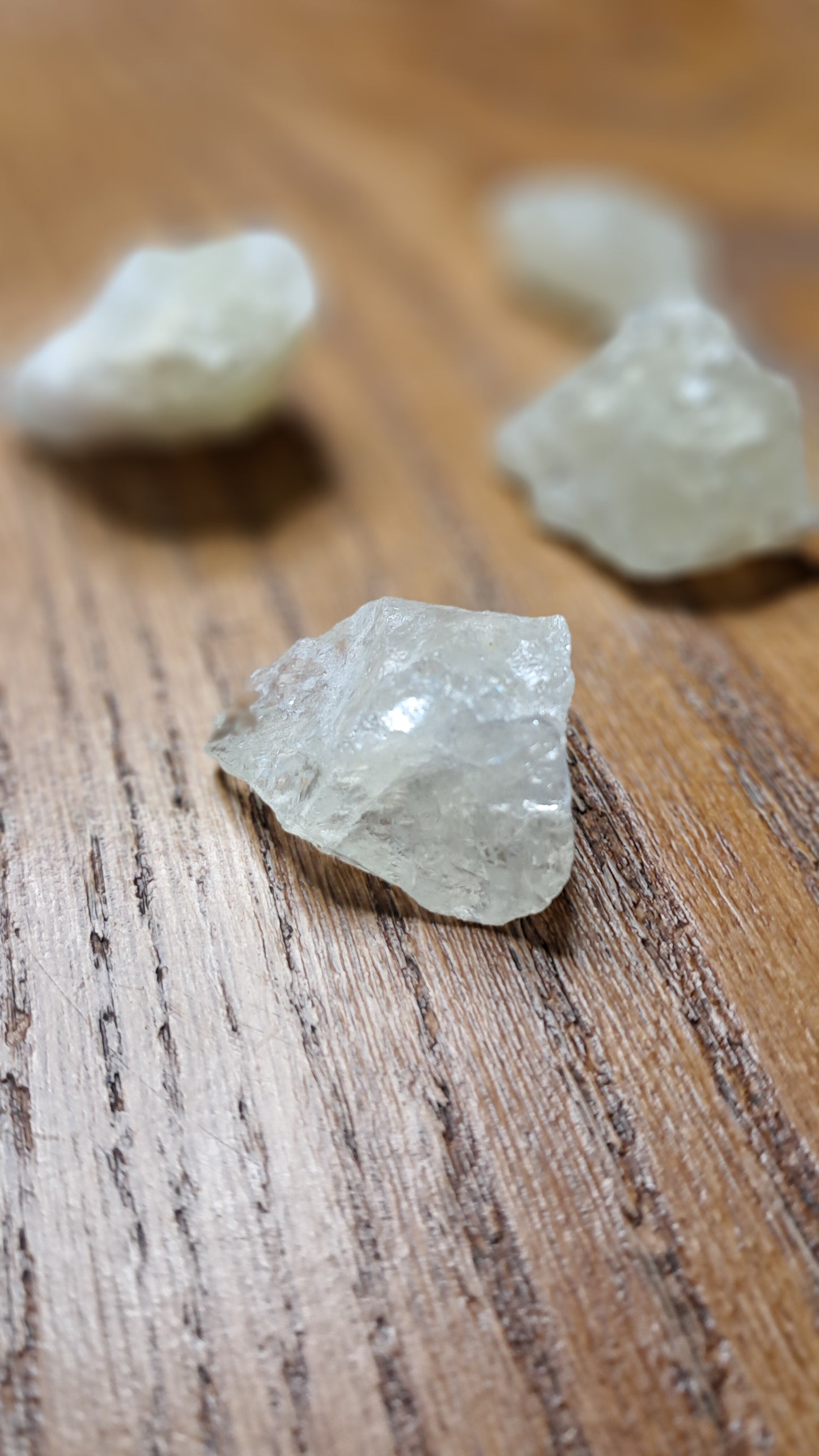 CITRIEN — Manifestatie & Actie