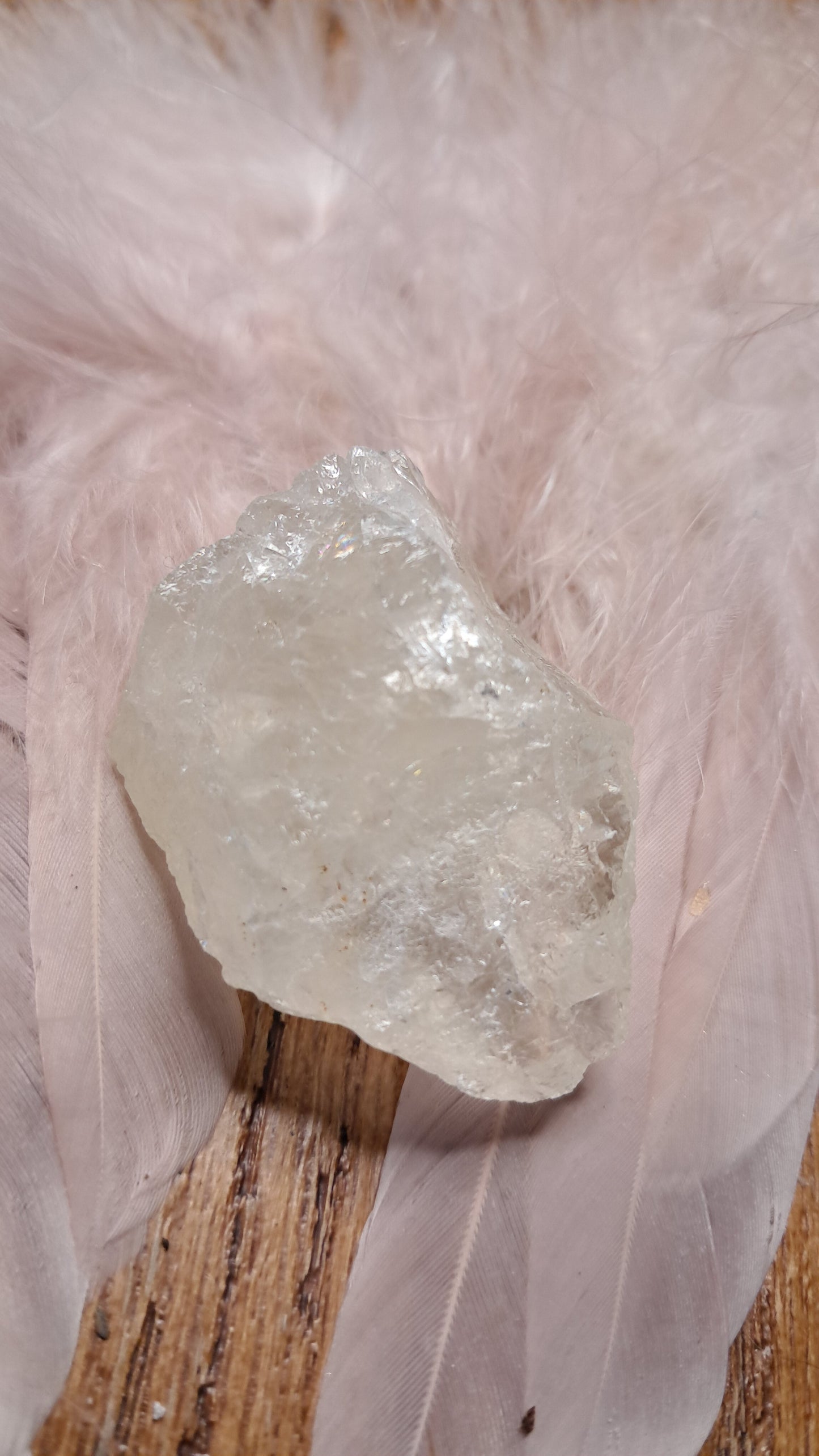 CITRIEN — Manifestatie & Actie